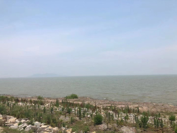 深圳民事律師事務(wù)所來講講禁止反言原則在民事訴訟的法律依據(jù)